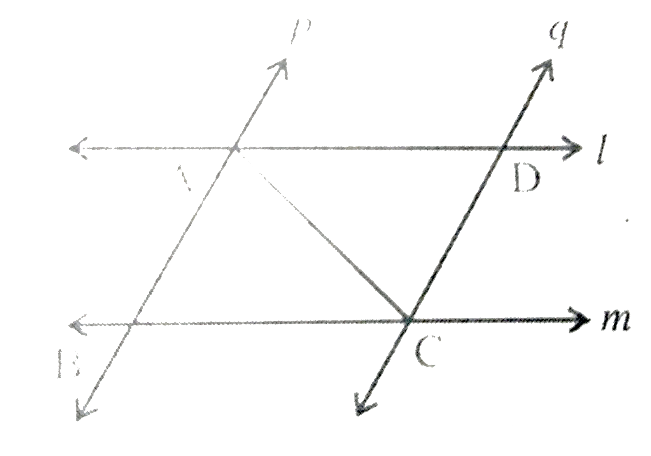 l   और m दो समांतर रेखाएँ हैं जिन्हें समांतर रेखाओं p और q का अन्य युग्म प्रतिच्छेदित करता है। दर्शाइए कि Delta ABC ~= Delta CDA   है।