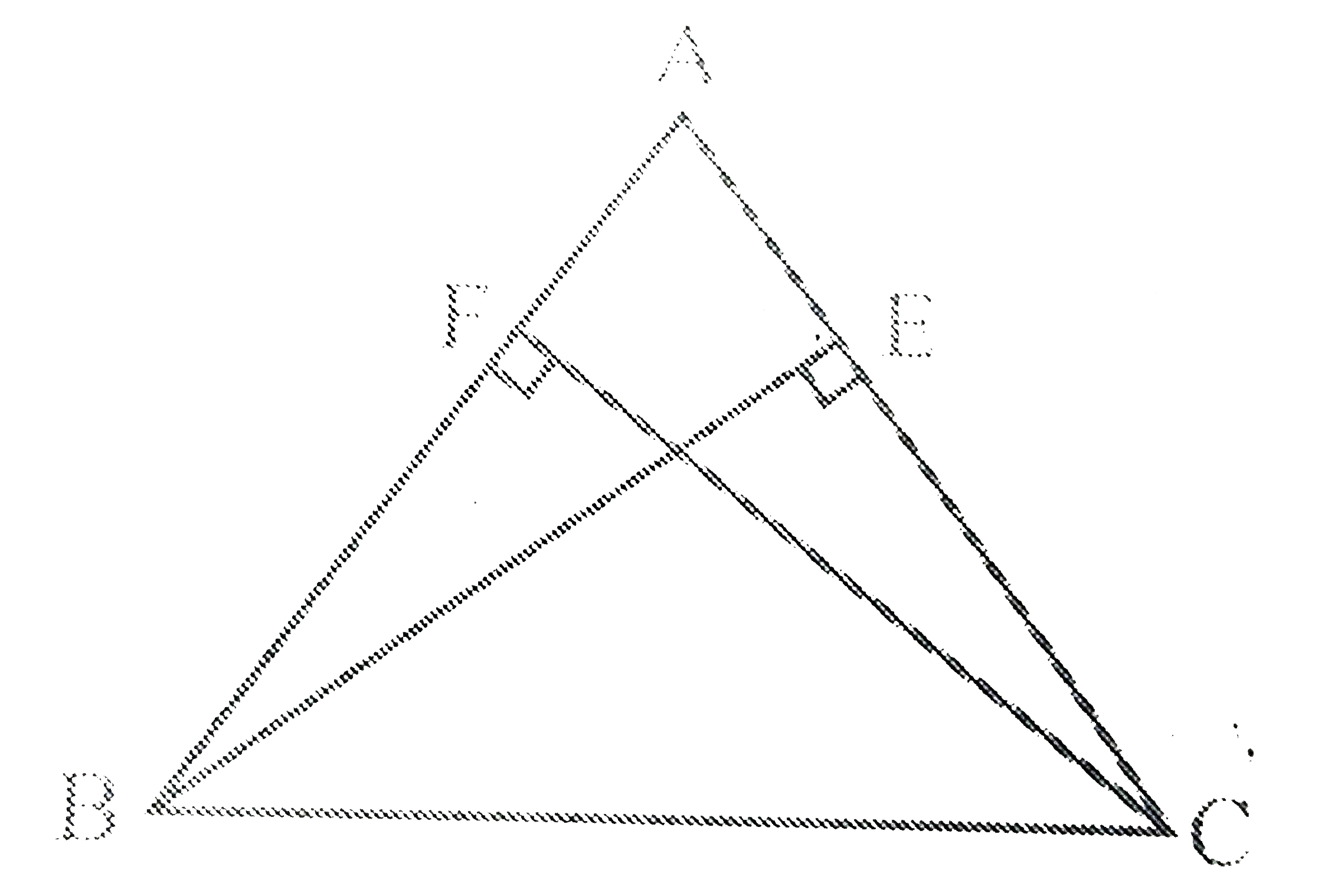 ABC एक समद्विबाहु त्रिभुज है, जिसमें बराबर भुजाओं AC और AB पर क्रमशः शीर्षलम्ब BE और CF खींचे गए हैं। दर्शाइए कि ये शीर्षलम्ब बराबर हैं।