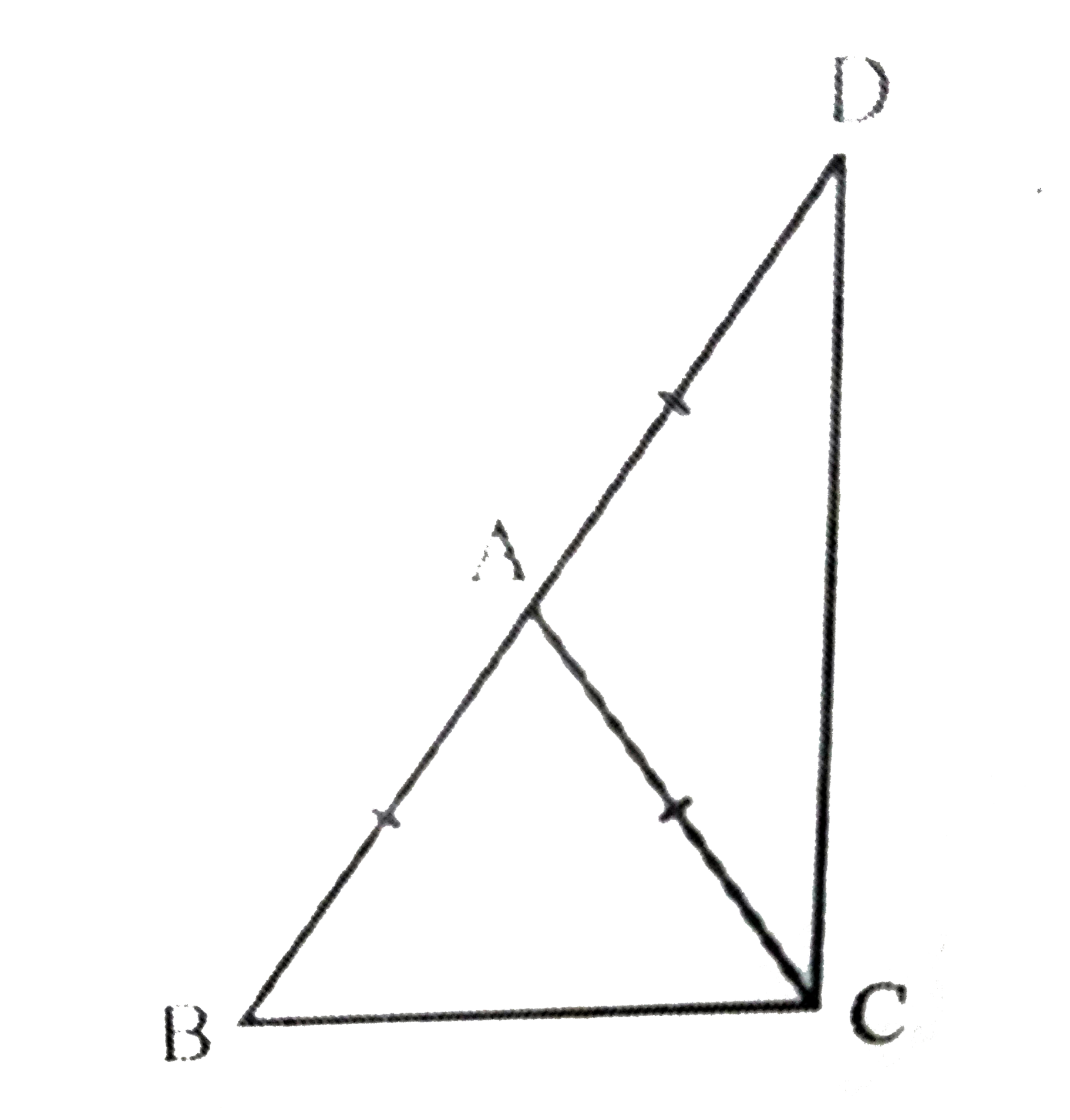 ABC एक समद्विबाहु त्रिभुज है, जिसमें AB = AC है। भुजा BA बिंदु D तक इस प्रकार बढ़ाई गई है कि AD = AB है। दर्शाइए कि  angle BCD  एक समकोण है।