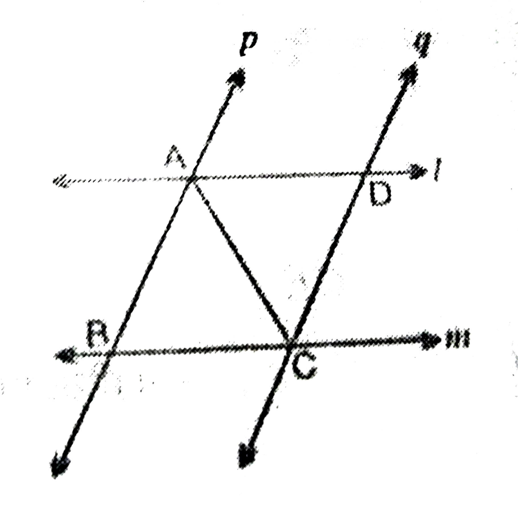 l और m दो समांतर रेखाए है जिन्हे समान्तर रेखाओ p और q का एक अन्य युग्म प्रतिछेद करता है (देखिये आकृति) दर्शाए की triangleABC cong triangleCDA है