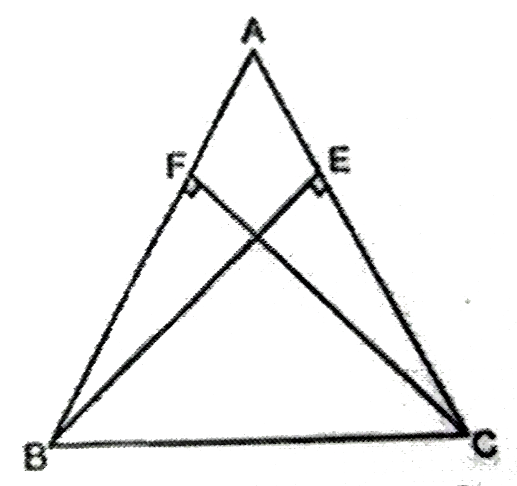 ABC एक त्रिभुज है जिसमे AC और AB पर खींचे गए सिर्शलम्ब BE और CF बराबर है दर्शाइए की   (i) triangleABE cong triangle ACF   (ii) AB=AC, अर्थात triangleABC एक समद्विबाहु त्रिभुज है