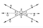 In figure, A B\ a n d\ C D
are straight lines and O P\ a n d\ O Q
are respectively the
  bisectors of angles /B O D\ a n d\ /A O C
. Show that the rays O P\ a n d\ O Q
are in the same line.