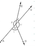 In Figure, if x+y=w+z ,
then prove that A O B
is a line
Fig.