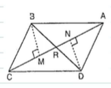 In Figure, B M
and D N
are both perpendiculars to the segments A C
and B M=D N
. Prove that A C
bisects B Ddot
