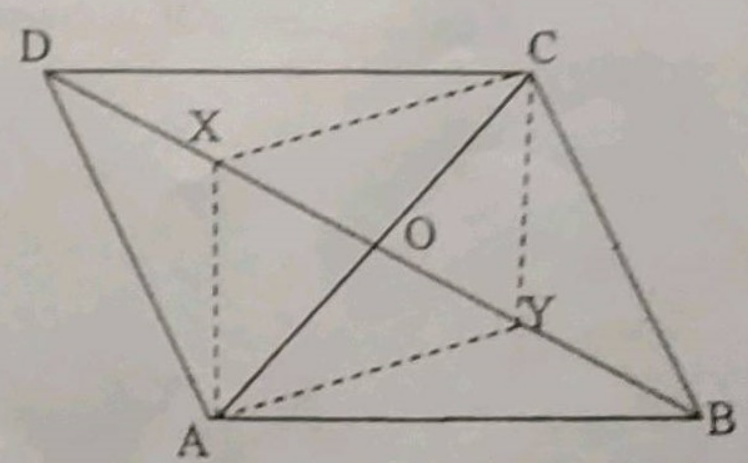 In Figure, A B C D
is a parallelogram and X\ a n d\ Y
are points on the
  diagonal B D
such that D X=B Y
. Prove that
A X C Y
is a parallelogram (ii)
  A X=C Y ,\ A Y=C X

 A Y B\ ~= C X D
 (iv)  A X D~=\  C Y B