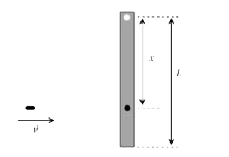 A rod of mass m and length  L , pivoted at one of its  ends, is hanging  vertically . A bullet  of the same mass moving    at speed v strikes  the rod horizontally  a a distance x from  its pivoted  end and  gets embedded  in it. The combined system  now rolates with  rotates with angular  speed omega about the pivot . The maximum angular  speed  omega(M)  is achieved  for x = x(m) . Then .