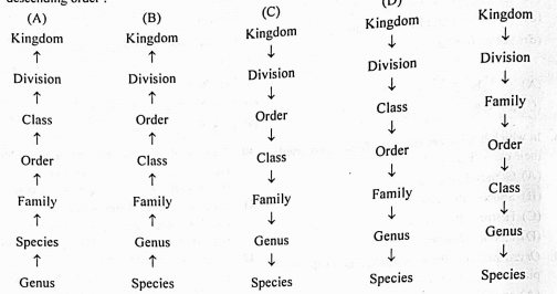 Which one of the following shows, the hierachial arrangement of taxonomic categories of plants in descending order: