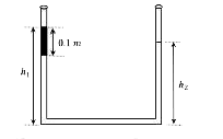 एकसमान अनुप्रस्थ काट के क्षेत्रफल वाली U - नली, जिसके दोनों सिरे खुले हुए हैं, में जल भरा है। जल का घनत्व 10^3 kg m^(-3)  है। आरम्भ में U-नली की दोनों भुजाओं में जल स्तम्भ की ऊंचाई, नली की पेंदी के सापेक्ष 0.29 m है। U-नली की बाईं भुजा में किरोसिन तेल तब तक डाला जाता है जब तक इसकी ऊंचाई 0.1 m न हो जाये, जैसा की चित्र में दर्शाया गया है। किरोसिन तेल एक जल में अघुलनशील द्रव है तथा इसका घनत्व 800 kg m^(-3)  है। नली की दोनों भुजाओं में द्रव स्तंभों की ऊंचाई का अनुपात (h1/h2)   है।