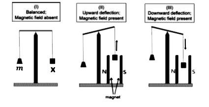 एक प्रयोग में नीचे दर्शाए चित्र I के अनुसार एक पात्र में एक योगिक X (गैस/द्रव/ठोस) के m gram को तुला में रखा गया। एक चुम्बकीय क्षेत्र की उपस्थिति में, उस पलड़े, जिस पर X रखा हुआ है, का विस्थापन यौगिक X के अनुसार या तो उर्ध्वमुखी (चित्र II) या अधोमुखी (चित्र III) होता है। सही कथन (कथनों) का चयन करें। (चित्र में Magnetic field absent: चुम्बकीय क्षेत्र अनुपस्थित, Magnetic field present: चुम्बकीय क्षेत्र उपस्थित, magnet: चुम्बक, Balanced: संतुलित, Upward deflection: उर्ध्वमुखी विस्थापन, Downward deflection: अधोमुखी विस्थापन हैं।