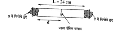 X और Y, क्रमश: 10 g