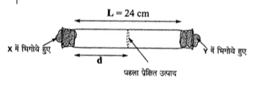 X और Y, क्रमश: 10 g