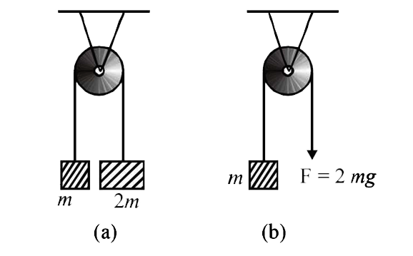 The pulley arrangements of Figs. (a) and (b) are identical. The mass of the rope is negligible. In (a) the mass m is lifted up by attaching a mass 2m to the other end of the rope. In (b), m is lifted up by pulling the other end of the rope with a constant downward force F=2mg. The acceleration of m is the same in both cases