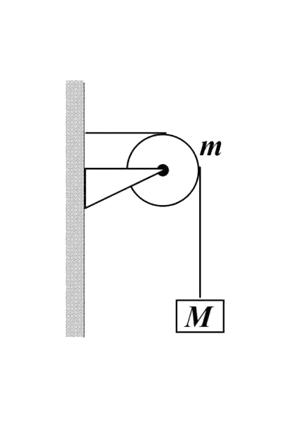 A string of negligible mass going over a clamped pulley of mass m supports a block of mass M as shown in the figure. The force on the pulley by the clamp is given by