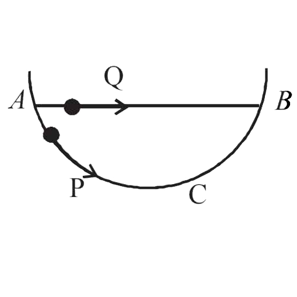 A particle P is sliding down a frictionless hemispherical bowl. It passes the point A at t=0. At this instant of time, the horizontal component of its velocity is v. A bead Q of the same mass as P is ejected from A at t=0 along the horizontal string AB, with the speed v. Friction between the bead and the string may be neglected. Let tP and tQ be the respective times taken by P and Q to reach the point B. Then: