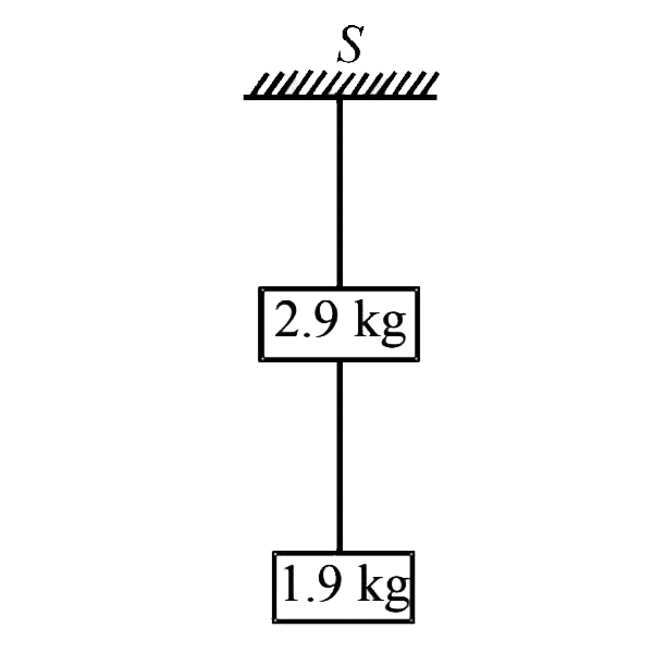 Two blocks of mass 2.9 kg and 1.9 kg are suspended from a rigid support S by two inextensible wires each of length 1 meter, see fig. The upper wire has negligible mass and the lower wire has a uniform mass of 0.2kg//m. The whole system of blocks wires and support have an upward acceleration of 0.2m//s^2. Acceleration due to gravity is 9.8m//s^2.      (i) Find the tension at the mid-point of the lower wire.   (ii) Find the tension at the mid-point of the upper wire.