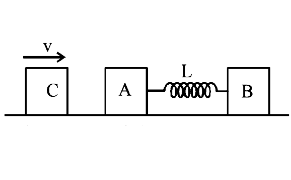 Two blocks A and B, each of mass m, are connected by a masslesss spring of natural length L and spring constant K. The blocks are initially resting on a smooth horizontal floor with the spring at its natural length, as shown in fig. A third identical block C, also of mass m, moves on the floor with a speed v along the line joining A and B, and collides elastically with A. Then, maximum compression of the spring is