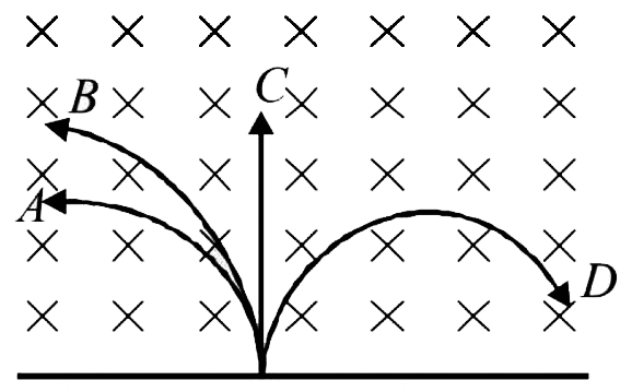 A proton, a neutron , and an electron and an alpha particle enter a region of constant magnetic field with equal velocities . The  magnetic field is along the inward normal to the plane of the paper . The tracks of the particles are labelled in fig. the electron follows track .... and the alpha particle follows track.....