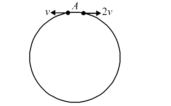 Two small particles of equal masses  stant moving in opposite direction from a point A in a burtizonetal circule orbic their tangention velocity are V and 2V , respectively as shown in the figure between collsions , the particals  move with constant speed After making how many elastic collition , other the then that at A these two partical will again reach the point A ?