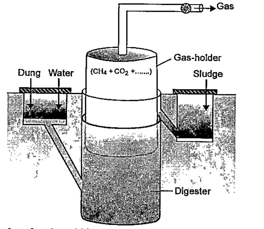 With the reference to the below figure of biogas plant answer the following questions,  Which type of bacteria are responsible for the production of biogas?