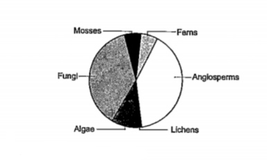 Observe the global biodiversity distribution of major plant taxa in the below diagram and answer the questions that follow:   (a) Which group of plants are most endangered?