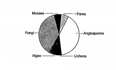 Observe the global biodiversity distribution of major plant taxa in the below diagram and answer the questions that follow:  (c)How do fungi that are heterotrophs sustain themselves as a large population?