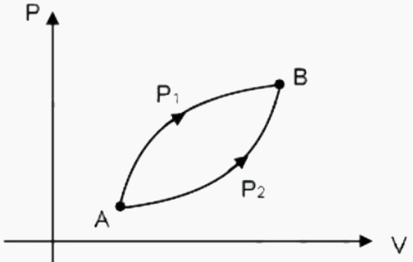 A thermodynamic system undergoes two process P(1) and P(2) from AtoB as shown in P-V diagram, choose the correct option.
