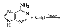 The major product in the following reaction  is