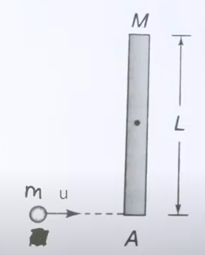 A particle of mass m and speed u collides elastically with the end of a uniform rod of mass M and length L as shown. If the particle comes to rest after collision, find m/M