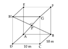 A hall has a square floor of dimension 10m xx10 m (see the figure) and vertical walls. If the angle GPH between the diagonals AG and BH is cos^(-1) (1/5),  then the height of th e hall (in meters) is :