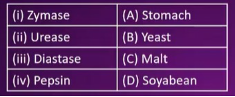 Match the following correctly