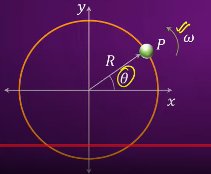 Find the acceleration of the particle P moving with unform angular speed w on a circle as shown in the diagram.