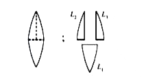 A convex lens has power P . It is cut into two halves along its principal axis . Further one piece (out of the two halves ) is cut into two halves perpendicular to the principal axis (as shown in figures ) .Choose the incorrect option for the reported pieces .