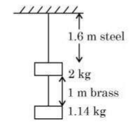 Two wires each of radius 0.2 cm and negligible mass, one made of steel and the other made of brass are loaded as shown in the figure. The elongation of the steel wire is x 10^(-6) m. [Young's modulus for steel = 2x10^11 Nm^(-2) and g = 10 ms^(-2)