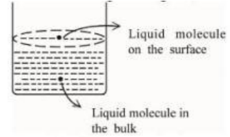Based on the given figure the number of correct statement/is/are     (1) Surface tension is the outcome of equal attractive and repulsive forces acting on the liquid molecule in bulk.   (2) Surface tension is due to uneven forces acting on the surface.   (3) The molecule in the bulle can never come to the liquid surface.  (4) The molecules on the surface are responsible for vapour pressure if the system is a closed system.