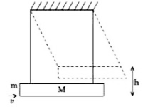 द्रव्यमान M=5.99kg का कोई लकड़ी का बृहत् गुटका दो लम्बी द्रव्यमानहीन डोरियों से लटका है। द्रव्यमान, m=10g की कोई गोली इस गुटके में दागी गयी है जो इस में अन्तः स्थापित हो जाती है। फिर (गुटका+गोली) ऊपर की ओर झूलता है तथा चाप के सिरे पर, (गुटका+गोली) लोलक के कुछ क्षण के लिए विराम में आने से पूर्व, इसका संहति केन्द्र ऊर्ध्वाधर दूरी, h=9.8 cm तक ऊपर उठता है। संघट्ट से पूर्व गोली को चाल है : (g=9.8 ms^(-2) लीजिए)