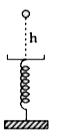 एक ऊर्ध्वाधर स्प्रिंग के ऊपर लगे प्लेटफार्म (तख्ते) पर, h=10cm की ऊंचाई से, एक 100g द्रव्यमान की गेंद को छोड़ा जाता है (चित्र में दर्शाये अनुसार) । गेंद प्लेटफार्म पर रूकती है एवं प्लेटफार्म नीचे की तरफ (h)/(2) दूरी से विस्थापित हो जाता है (दब जाता है) । स्प्रिंग गुणांक का मान  Nm^(-1) होगा ।  (माना g= 10ms^(-2))