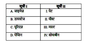 सूची I तथा सूची II का मिलान कीजिए -       नीचे दिए विकल्पों में से सही उत्तर चुनिए -