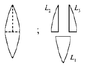 एक उत्तल लैंस की शक्ति P है । इसको इसके मुख्य अक्ष से दो भागों में काटा जाता है | फिर से, इन दो भागों में से एक भाग को, मुख्य-अक्ष के लम्बवत दो भागों में काटा जाता है (जैसा चित्र में दर्शाया है) बताए गए भागों के लिए निम्न में से गलत विकल्प चुनिए ।