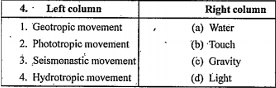 Match the column: