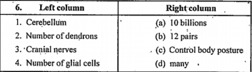 Match the column: