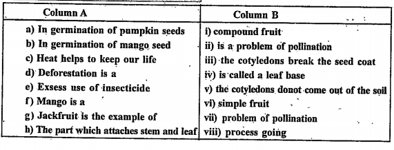 Match the column A with column B