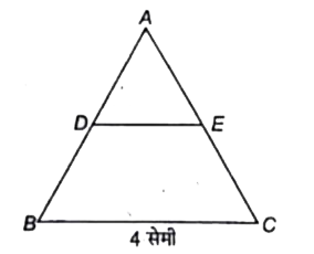 triangleABC में D, AB का मध्य बिन्दु है और DE, BC के समान्तर रेखा है। निम्न में से कौन-सा कथन सत्य है?