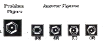 In each question a problem figure has been given on the left side and on the right side four answer figures (A), (B), (C) and (D) have been given. Find out that answer figure which is completely identical to the problem figure and encircle the number.
