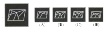 In each, one problem figure is given on the left side and on the right side four answer-figures (A), (B), (C) and (D) have been given. Find out the answer figure, which is completely similar to the problem figure and circle the number given below that figure.