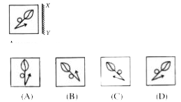 There are four alternatives (A), (B), (C) and (D) given. You have to choose the correct mirror image of the question figure, when the mirror held on the line XY.