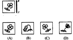 There are four alternatives (A), (B), (C) and (D) given. You have to choose the correct mirror image of the question figure, when the mirror held on the line XY.