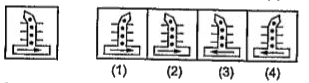 निम्नलिखित प्रश्नों में बाईं ओर एक समस्या आकृति तथा दाई ओर चार उत्तर आकृतियाँ (1),(2), (3) तथा(4) दी गई हैं। उस उत्तर आकृति को चुनिए, जो समस्या आकृति के बिल्कुल सदृश है। सही उत्तर को इंगित कीजिए।