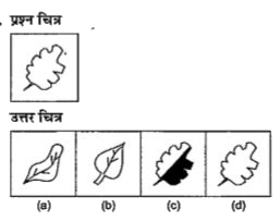 नीचे दिए गए प्रत्येक प्रश्न में  एक प्रश्न  चित्र दिया गया है तथा (a), (b), (c ) और (d) से चिन्हित चार उत्तर चित्र दिए गए है । उत्तर चित्रों में से प्रश्न चित्र के समरूप चित्र को चुने।