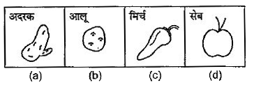 नीचे दिए गए प्रत्येक प्रश्न में चार चित्र (a),(b), (c ) और (d) दर्शाए गए है।  चार चित्रों में से तीन चित्र किसी विधि से एक समान है , जबकि एक चित्र अन्य से भिन्न है।  अन्य  से भिन्न चित्र का चयन करें।