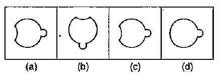 नीचे दिए गए प्रत्येक प्रश्न में चार चित्र (a), (b), (c) और (d) दर्शाए गए हैं | इन चार चित्रों में से तीन चित्र किसी विधि से एक समान है, जबकि एक चित्र, अन्य से भिन्न है | अन्य से भिन्न चित्र का चयन करें |